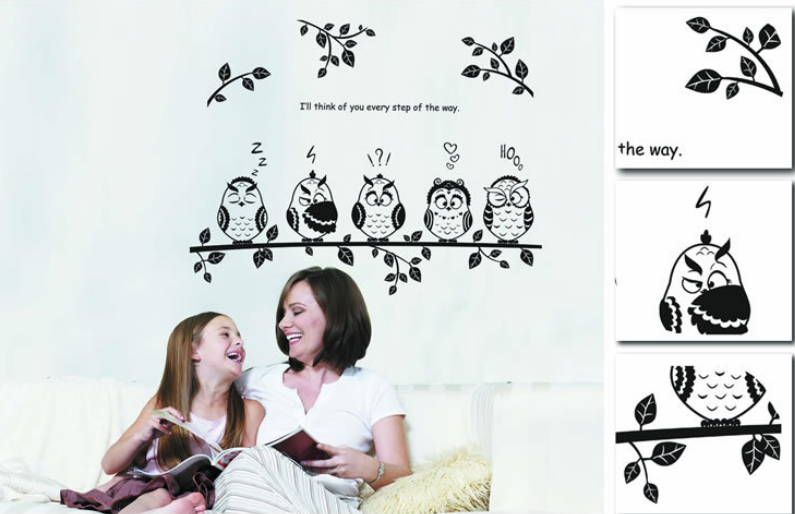 Chim cú trắng đen